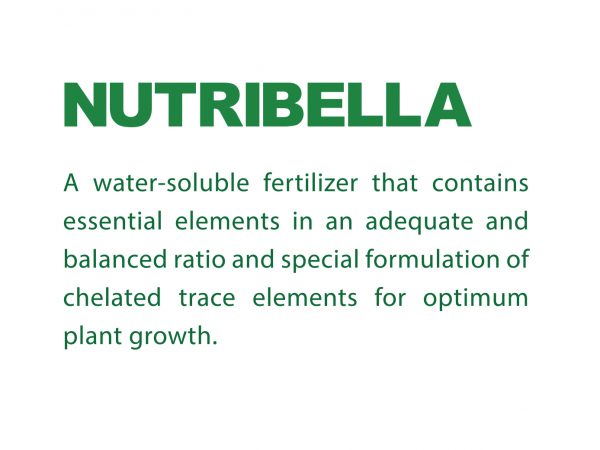 NUTRIBELLA-description