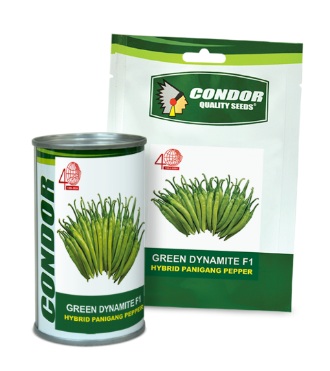 GREEN DYNAMITE PACKAGING