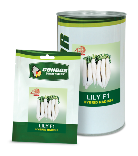LILY PACKAGING