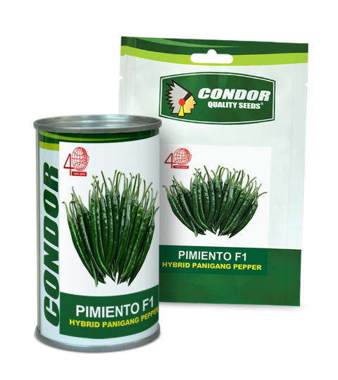 PIMIENTO PACKAGING